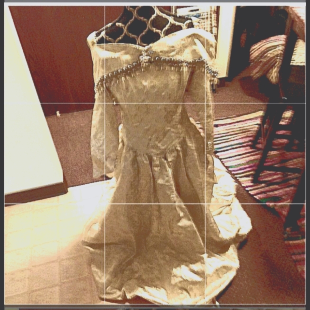 Elegant Vintage Gown